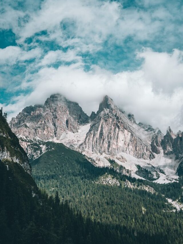 cropped-nature-6662283_640.jpg